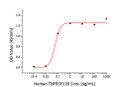 Recombinant Human TNFRSF11B inhibit TRAIL-mediated cytotoxicity using L-929 mouse fibroblast cells treated with TRAIL. The ED&lt;sub&gt;50&lt;/sub&gt; for this effect is 28. 5-114 pg/mL in the presence of 20 ng/mL Recombinant Human TRAIL/TNFSF10.
