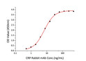 Immobilized Human C-Reactive Protein at 2 Mu g/mL (100 Mu L/well) can bind CRP Rabbit mAb with a linear range of 0. 488-6. 81 ng/mL.