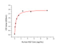 Immobilized recombinant human HGFR at 2 Mu g/mL (100 Mu L/well) can bind Rrecombinant human HGF with a linear range of 25-250 ng/mL.