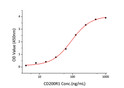 Immobilized Human CD200 Protein at 2 Mu g/mL (100 Mu L/well) can bind mouse CD200 R1 with a linear range of 3. 9-92. 9ng/mL.