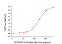 Immobilized Mouse CD276 (Catalog: STJP002881) at 2 Mu g/mL (100 Mu L/well) can bind CD276 Rabbit pAb (Catalog: STJ231053) with a linear range of 1-274 ng/mL.