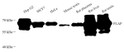 Western blot analysis of PLAP at dilution of 1:1000