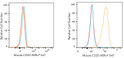 Flow cytometry: 1X10^6 RK13 cells (negative control, left) and RK13-CD20 transfection cells (right) were surface-stained with rat anti-mouse CD20 Antibody (1:100, orange line) or secondary antibody only (blue line). Non-fluorescently stained RK13 and RK13 transfection cells were used as blank control (red line). ABflo® 647-conjugated Rabbit Anti-Rat IgG (H+L) (STJS001203, 1:1000) was used as a secondary antibody.
