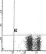 Anti-CD45 antibody [ML2] {APC} (STJA0018319)