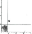 Anti-IgG2a antibody [MCG2a] {APC} (STJA0018384)