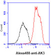 Flow cytometry of AK3 in Jurkat cells with Alexa Fluor 488 staining and isotype control
