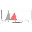 Flow cytometry of BAFF BLyS TNFSF13B in PBMC cells using Human BAFF TNFSF13B antibody STJA0041466