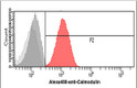 Flow cytometry of Calmodulin 2 in HeLa cells using STJA0041470 antibody with Alexa Fluor 488 detection