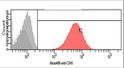 Flow cytometry of CD45 in Jurkat cells stained with STJA0041473 antibody