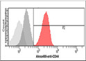 Flow cytometry of CD44 in HeLa cells using human CD44 antibody STJA0041476