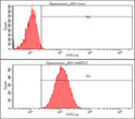 Flow cytometry of HSP27 in A549 cells with goat anti-mouse IgG Alexa Fluor 488