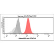 Flow cytometry of PDCD4 in MCF7 cells using Human PDCD4 antibody STJA0041526
