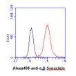 Flow cytometry of human synuclein-alpha beta in LNCaP cells with Alexa Fluor 488 detection