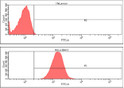Flow cytometry of BAK1 in HeLa cells with BAK antibody and goat anti-mouse IgG Alexa Fluor 488