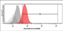 Flow cytometry of Aurora B in LNCaP cells using STJA0041592 antibody with Alexa Fluor 488 detection