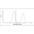 Flow cytometry of Bcl-2 in HeLa cells using STJA0041594 antibody with Alexa Fluor 488 detection