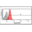 Flow cytometry of PNPO in Jurkat cells stained with STJA0041615 antibody