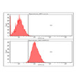 Flow cytometry of KRT23 in Hep3B cells using Human KRT23 antibody with Alexa Fluor 488 detection