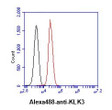 Flow cytometry of KLK3 in LNCaP cells with Human Kallikrein 3 PSA antibody staining