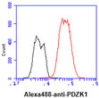 Flow cytometry of PDZK1 in Hep3B cells with goat anti-mouse IgG Alexa Fluor 488