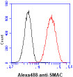Flow cytometry of SMAC in HeLa cells using Human SMAC Diablo antibody with Alexa Fluor 488 detection