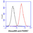 Flow cytometry of PARK7 in HeLa cells stained with Human DJ-1 PARK7 antibody red vs mouse IgG isotype control black