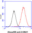 Flow cytometry of ASNA1 in HeLa cells with goat anti-mouse IgG Alexa Fluor 488