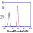Flow cytometry of ACOT8 in CTLL-2 cells with goat anti-mouse IgG Alexa Fluor 488