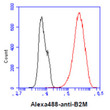 Flow cytometry of B2M in A431 cells with Alexa Fluor 488 detection
