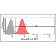 Flow cytometry of BPGM in HeLa cells stained with STJA0041829 antibody
