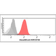 Flow cytometry of CD158f KIR2DL5A expression in human PBMC using STJA0041898 antibody