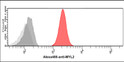 Flow cytometry of MYL2 in A431 cells stained with STJA0041904 antibody