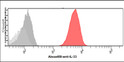 Flow cytometry of IL-33 expression in Jurkat cells stained with STJA0041928 antibody