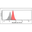 Flow cytometry of PDCD4 in MCF7 cells using STJA0041974 antibody with Alexa Fluor 488 detection