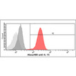 Flow cytometry of IL-15 in PBMC cells stained with STJA0041976 antibody showing red fluorescence signal compared to controls