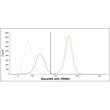 Flow cytometry of TREM2 in Hep3B cells stained with STJA0041978 antibody