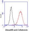 Flow cytometry of Cellubrevin VAMP-3 in HeLa cells using STJA0041988 antibody with Alexa Fluor 488 detection
