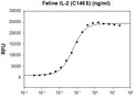 Feline IL-2 C146S biological activity assay showing CTLL2 T cell proliferation stimulation
