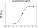 Mouse Prolactin biological activity showing Nb2-11 rat lymphoma cell proliferation with ED50 ≤3 ng ml