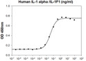 IL-1 alpha protein bioactivity: D10.G4.1 T cell proliferation stimulation assay