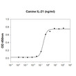 Canine IL-21 stimulates IFN-γ secretion in NK-92 human natural killer cells