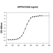 CD26 DPP4 protein binding to MERS-CoV Spike S1 subunit with ED50 ≤250 ng ml