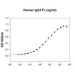 Functional ELISA showing human Fc gamma RIIB CD32b binding to human IgG1 Fc