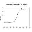 Recombinant human IFN-alpha 2 protein binding assay with IFN-alpha beta receptors