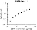 Standard curve for anti-CD59 antibody in ELISA application detecting human recombinant CD59 STJA0041089