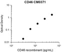 ELISA standard curve for anti-CD46 antibody capturing human recombinant CD46 protein STJA0041098