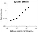 Standard curve for anti-EpCAM antibody in ELISA application STJA0041184