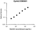 ELISA standard curve for anti-EphA2 antibody capturing human recombinant EphA2 STJA0041187