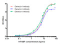 HFABP antibody sandwich assay capture detector mouse monoclonal STJA0033234