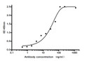 anti-NGAL antibody ELISA mouse monoclonal 4ug/ml STJA0033246